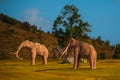 Statues of mammoths near the tree. Prehistoric animal models, sculptures in the valley Of the national Park in Baconao, Cuba.