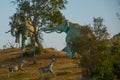 Statues Of Mammoths. Prehistoric animal models, sculptures in the valley Of the national Park in Baconao, Cuba.