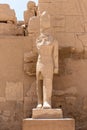 The statues of Pharaoh Ramses III guarding the precinct of the temple of Karnak, Luxor, Egypt Royalty Free Stock Photo