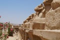 Avenue of sphinxes Egypt