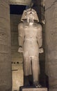 Statues of Ramses II at Luxor Temple at night Royalty Free Stock Photo