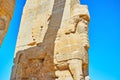 Statues and reliefs of Persepolis, Iran
