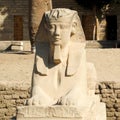 Statues of a sphinx in Karnak. Royalty Free Stock Photo