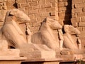Statues at the world famous Karnak Temple. Luxor  Egypt. Royalty Free Stock Photo