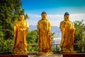 Statues at Ten Thousand Buddhas Monastery in Sha Tin, Hong Kong, China.