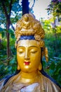 Statues at Ten Thousand Buddhas Monastery in Sha Tin, Hong Kong, China. Royalty Free Stock Photo