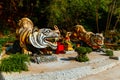 Statues of tigers at entrance to buddhist pagoda Tham Suea near Tiger Cave Temple in Krabi, Thailan