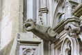 Statues on the wall of cathedral in Den Bosch. The Netherlands Royalty Free Stock Photo