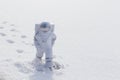 Statuette of an astronaut confidently explores alien planet`s surface. Cold planet covered with snow