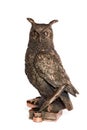 Statuette bronze owl with feather and books Royalty Free Stock Photo