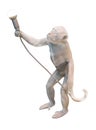 Statuette of monkey with light bulb