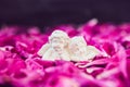 Statuette of two antique little lovely angels of the gypsum on the black stone background with pink purple peony flower petals.