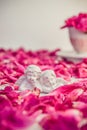 Statuette of two antique little lovely angels of the gypsum on the white background with pink purple peony flower petals. Love,