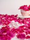 Statuette of two antique little lovely angels of the gypsum on the white background with pink purple peony flower petals. Love, ro