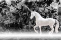 Statuette of white horse isolated on zinc sheet background with Royalty Free Stock Photo