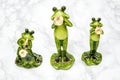 Statuettes of Green Frogs on White