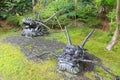 Status of heads of Dragon appearing above the ground at Kodai-ji Temple in Kyoto, Japan