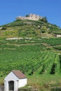 Staufen,Schwarzwald,black forest,germany Royalty Free Stock Photo