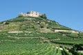 Staufen,Schwarzwald,black forest,germany