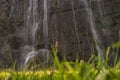 Staunbach Falls in Lauterbrunnen. Waterfall in the Alps. Swiss Alps. Alpine mountains