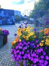 Stavanger city with flowers