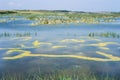 Sani Wetlands Nature Reserve, Kassandra, Greece