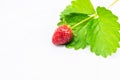 Stawberry with leaves on white