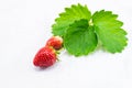Stawberry with leaves on white