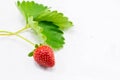 Stawberry with leaves on white