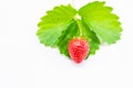 Stawberry with leaves on white