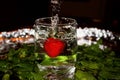 Stawberry with water splash in front of mint leaves. Royalty Free Stock Photo