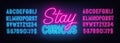 Stay Curious neon lettering on brick wall background.