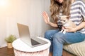 Stay home concept. Cropped woman with puppy dog chihuahua having a video call. Happy and smiling girl working from home office on