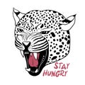 Stay Hungry text with vector illustration of a jaguar head for printing on T shirts and other purposes.