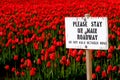 Stay on main roadway sign with red tulip field