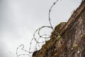 Stay Out - Rolled barbed wire along the top of an old mossy wall - closeup angled with selective focus