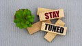 STAY TUNED - words on wooden blocks on gray background and cactus