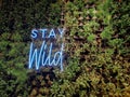 `Stay Wild` young quote - Neon cool quote