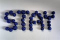 Stay word made from blueberries on a light background