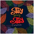 Stay young stay curious hand lettering.