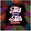 Stay young stay curious hand lettering.