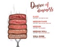 Steak doneness layer vector illustration