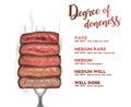 Steak doneness layer vector illustration Royalty Free Stock Photo