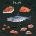 Steak, Filet, Slices and Sushi of Red Fish Salmon for Seafood Menu. Realistic Hand Drawn Doodle Style Sketch.Vector