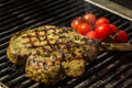 Steak flame broiled on a barbecue Royalty Free Stock Photo