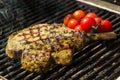 Steak flame broiled on a barbecue Royalty Free Stock Photo