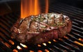 Steak grilled on the grill over an open flame