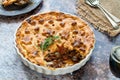 Steak, mushroom and ale pie