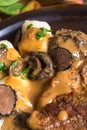 Steak with potato dumplings and forest mushroom sauce Royalty Free Stock Photo