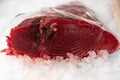 Steak of red tuna on ice Royalty Free Stock Photo